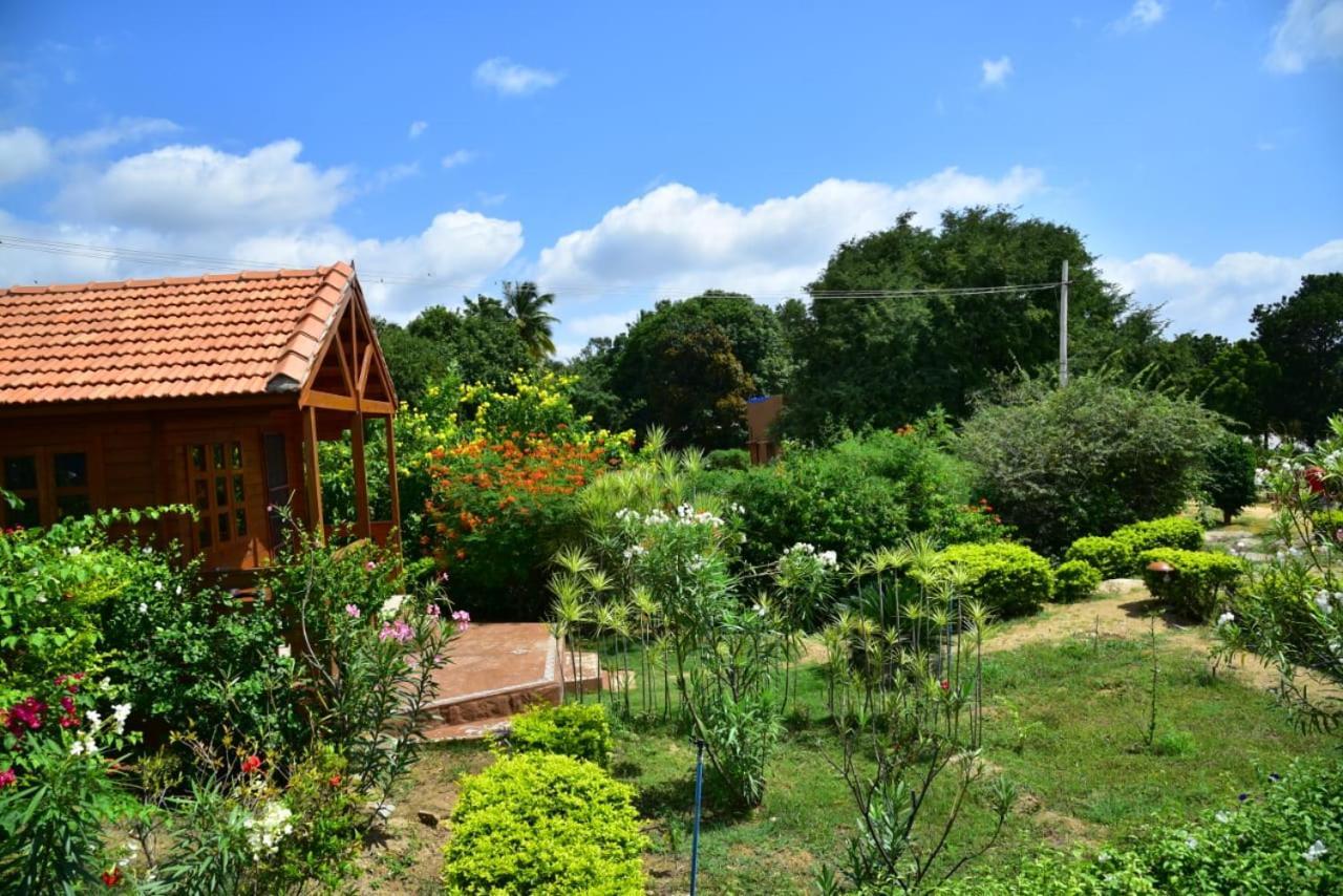 Leo Wodden Resort Hampi Exterior photo